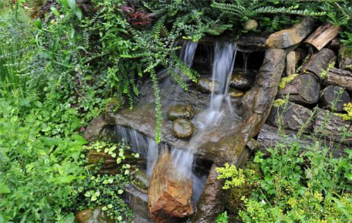 英國78歲老太7年將廢棄沼地改成“仙境”