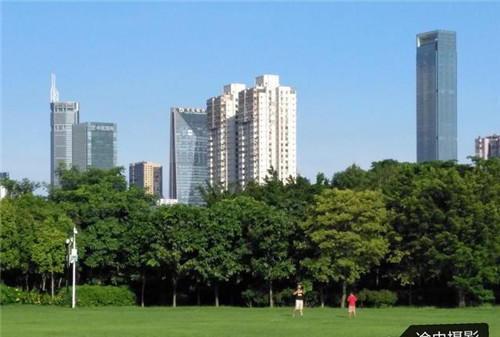 深圳CBD最大公園是深圳最美城市公園之一