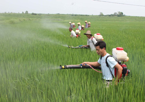 農(nóng)藥的化學(xué)成分對(duì)環(huán)境有絕對(duì)的負(fù)面影響