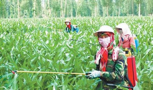 農(nóng)藥的化學(xué)成分對(duì)環(huán)境有絕對(duì)的負(fù)面影響