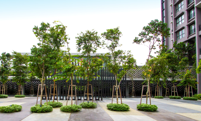 森林的再現-馬來西亞Azelia住宅區景觀