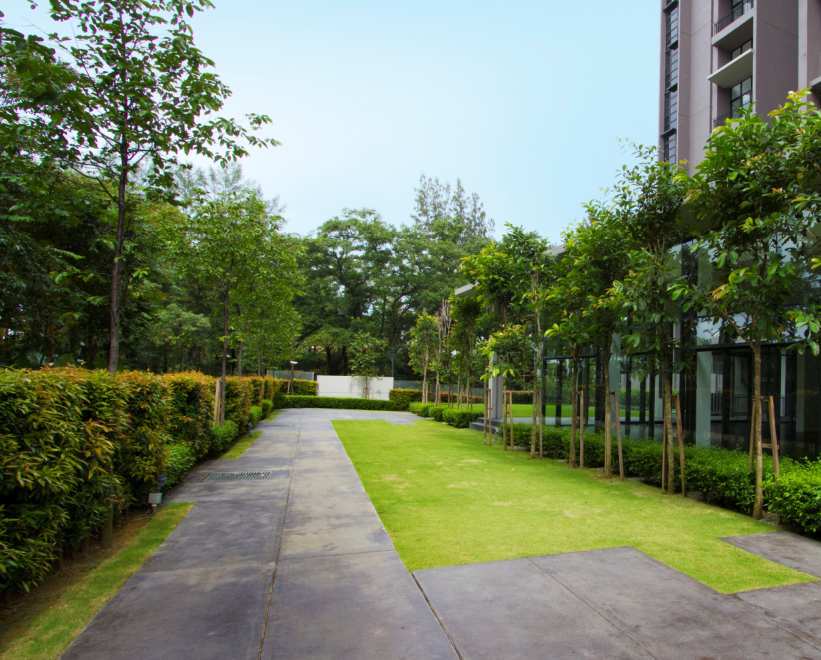 森林的再現-馬來西亞Azelia住宅區景觀