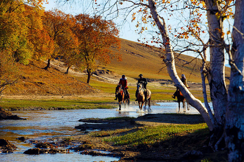 河北各界熱議塞罕壩：久久為功構筑綠色屏障