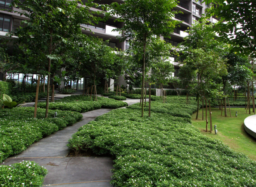 森林的再現-馬來西亞Azelia住宅區景觀