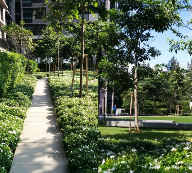 森林的再現-馬來西亞Azelia住宅區景觀