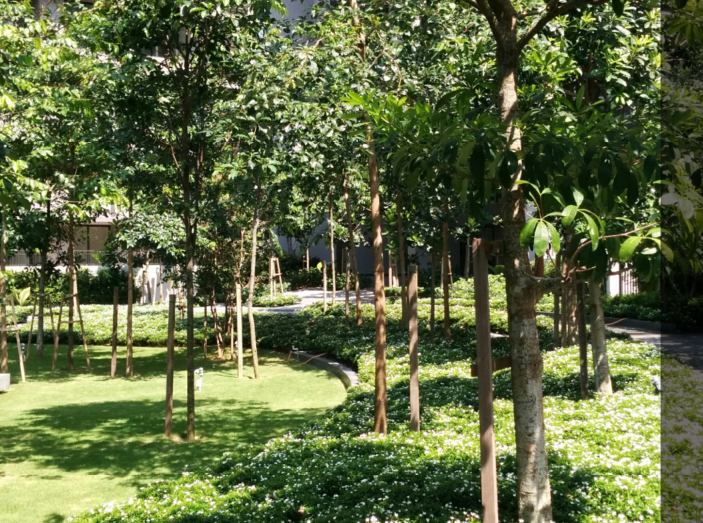 森林的再現-馬來西亞Azelia住宅區景觀