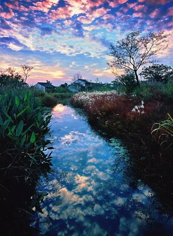 浙江美麗的濕地公園