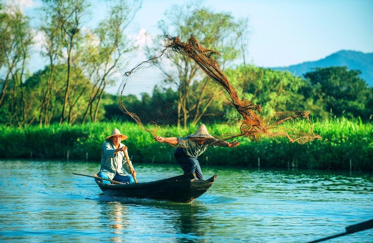 浙江美麗的濕地公園