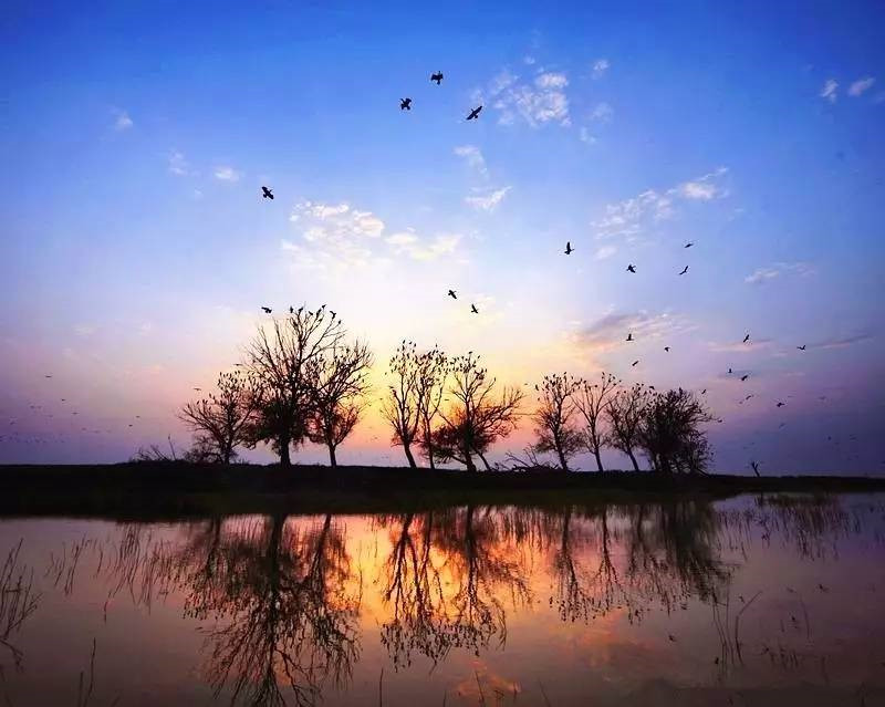 浙江美麗的濕地公園