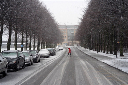 燕園為您呈現(xiàn)漂亮的金桐力大道