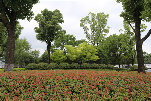 杭州園林作品：三江兩岸整治（一期）