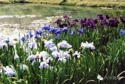 河道治理技術(shù)總結(jié)