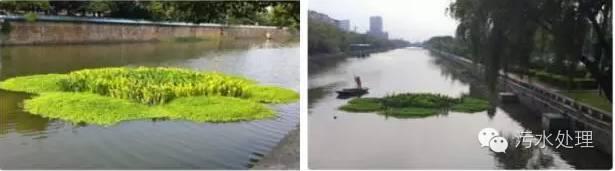 河道治理技術(shù)總結(jié)