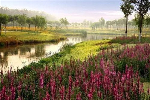 我們在設(shè)計濱水景觀時在設(shè)計什么?