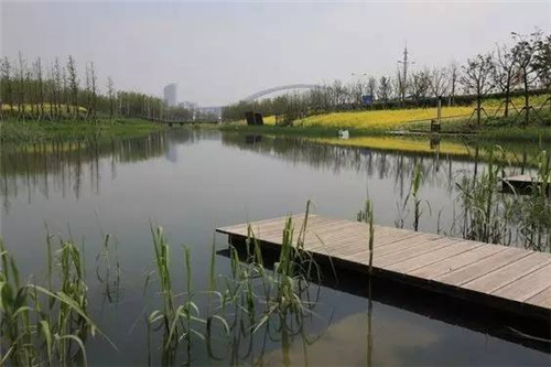 我們在設計濱水景觀時在設計什么？