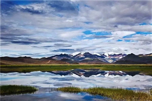這種植物，全世界只有一個地方出產……