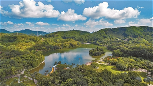 仙湖植物園景觀換新顏吸引世界目光