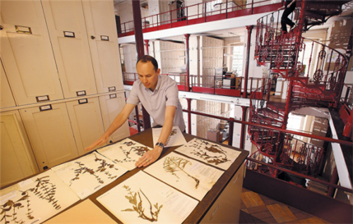 法國科學家將AI算法用于植物研究