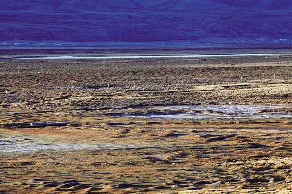 西藏受保護濕地面積超430萬公頃