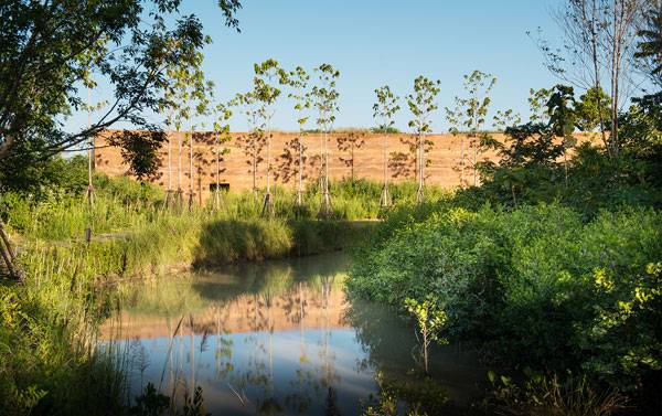 泰國城市森林項目讓曼谷回歸自然