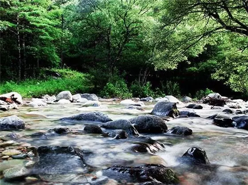 西安國家級森林公園——朱雀森林公園