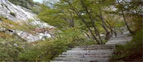 西安國家級森林公園——朱雀森林公園