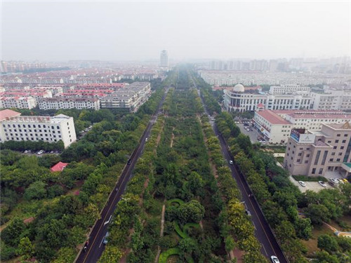 河南淇濱生態(tài)濕地的自然之美