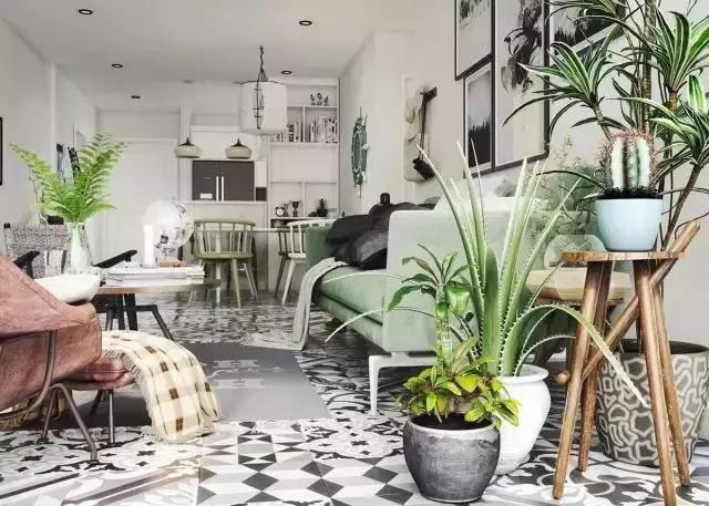 把綠色植物請進家中