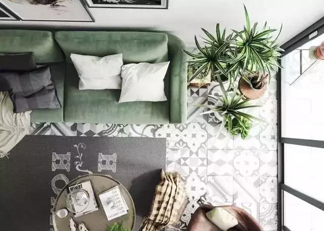 把綠色植物請進家中