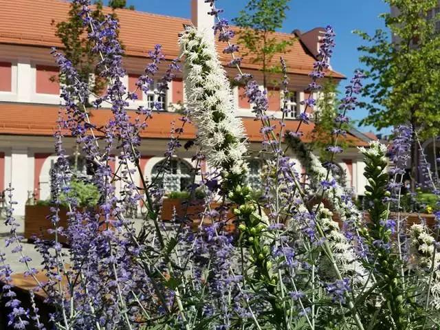 波蘭的停車場變廣場 公共空間促進社區活力