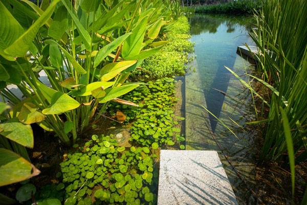 泰國曼谷LAB設(shè)計事務(wù)所SCG總部大樓項目