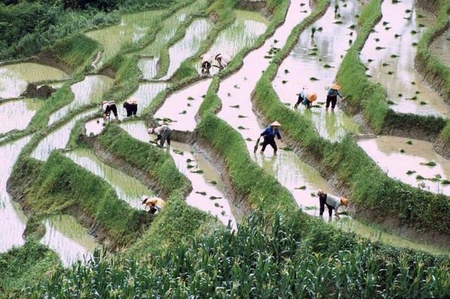 中國最壯美的濕地,天梯太美令人驚艷