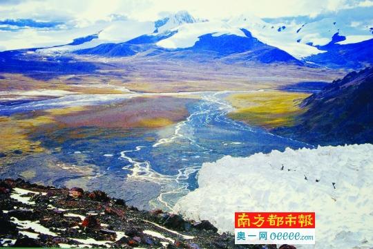 評估稱中國有35784種植物