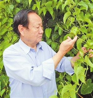 馮耀宗:探索生物多樣性可持續發展之路