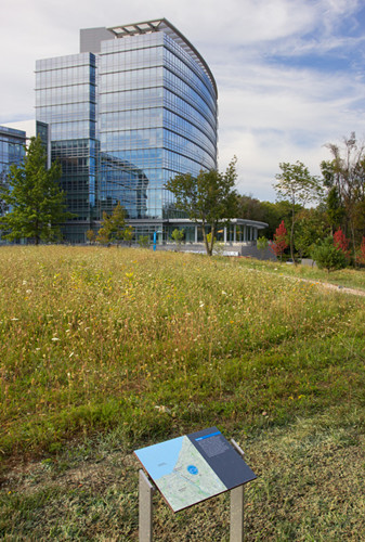 對可持續發展的承諾——美國伊頓公司世界總部景觀設計