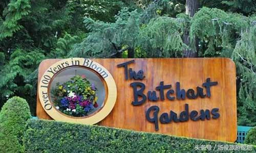 如何打造花卉主題公園