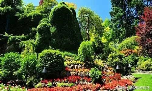 如何打造花卉主題公園