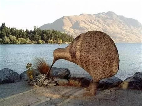 鐘揚：為了“末日方舟”，我在西藏收集種子