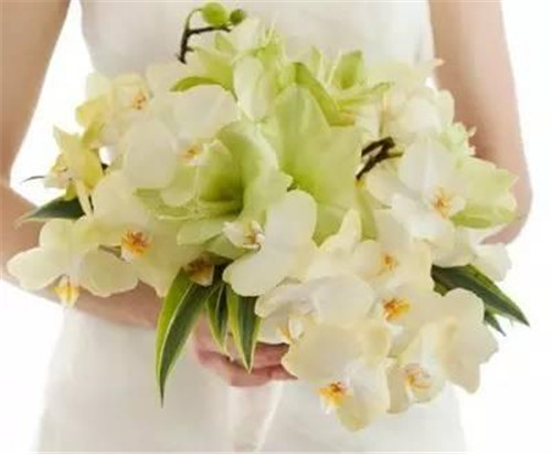 七夕節(jié)到了!那些你不知道的愛情花