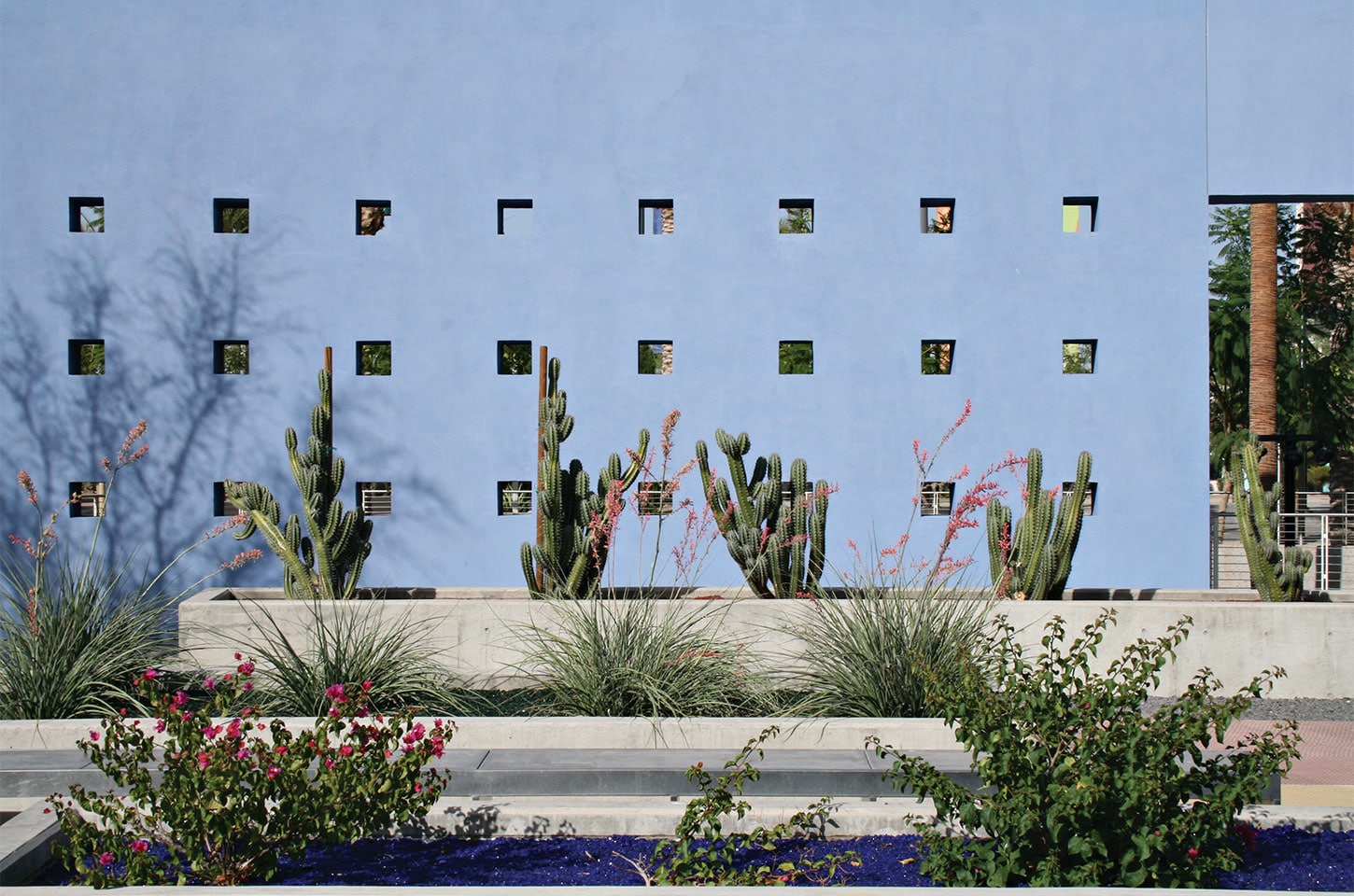 光影與水景的交合--美國梅薩藝術中心