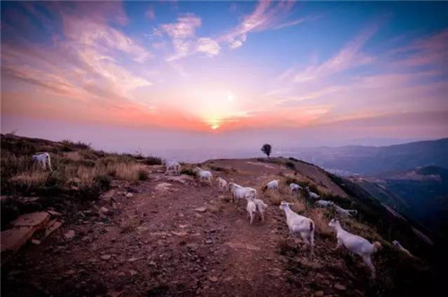 渭南又添一處國家森林公園