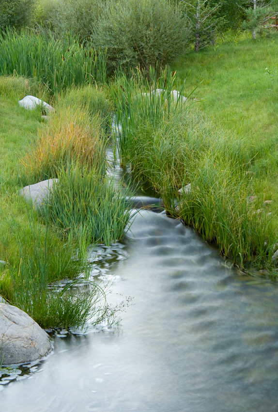 人與自然和諧共生---美國皮特金縣濱河牧場