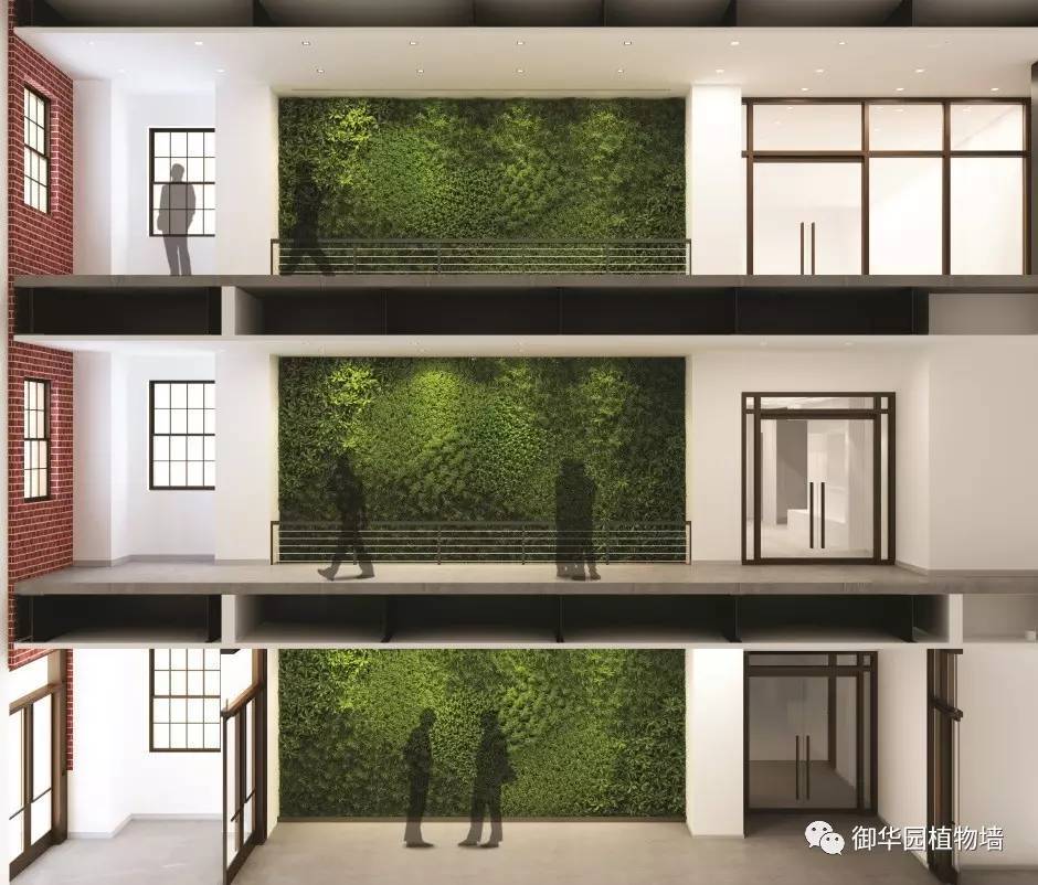 為什么植物墻效果圖不好出?