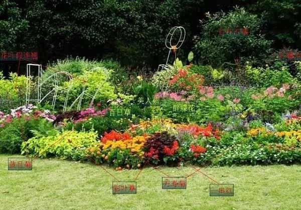 園林中各種各樣的植物搭配方式