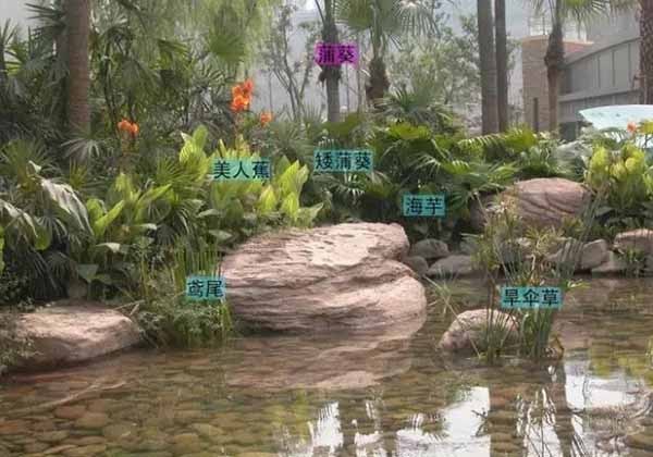 園林中各種各樣的植物搭配方式