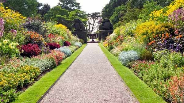 園林中各種各樣的植物搭配方式
