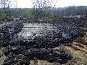 張杰:雨水循環與黑臭水體