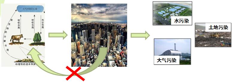 張杰：雨水循環與黑臭水體