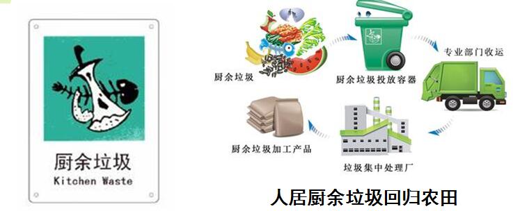 張杰：雨水循環與黑臭水體