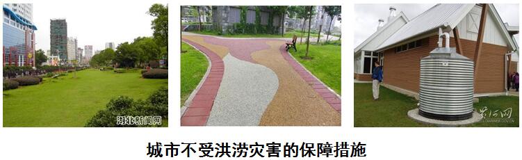 張杰：雨水循環與黑臭水體